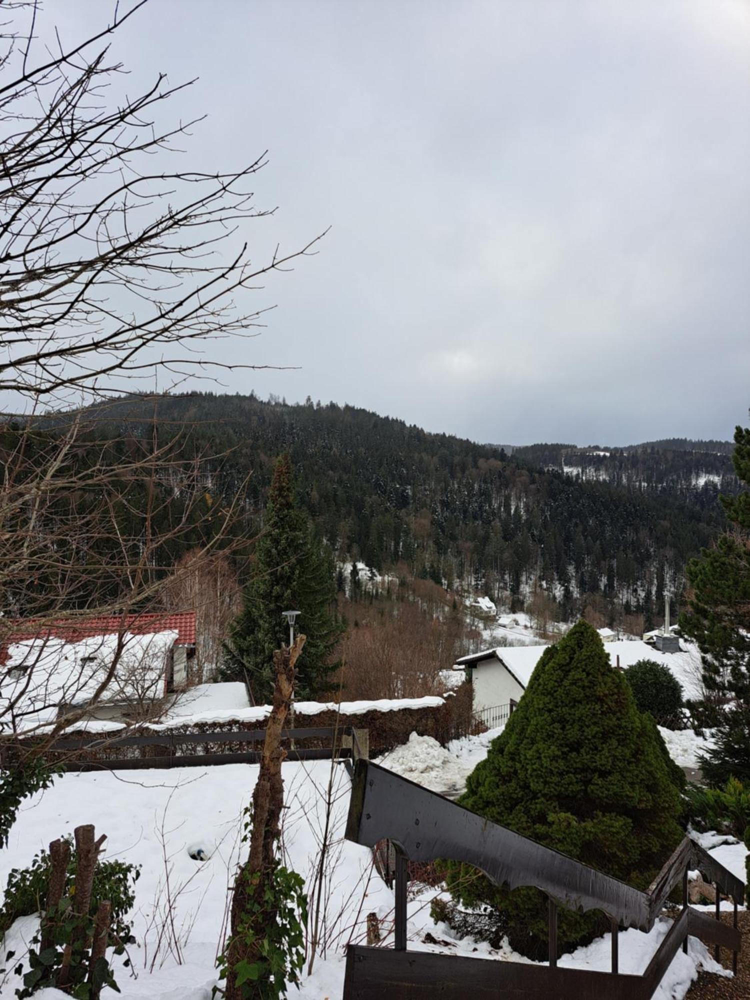Grosse Ferienwohnung In Ruhiger Lage Mit Toller Aussicht In Triberg Triberg im Schwarzwald Exterior foto