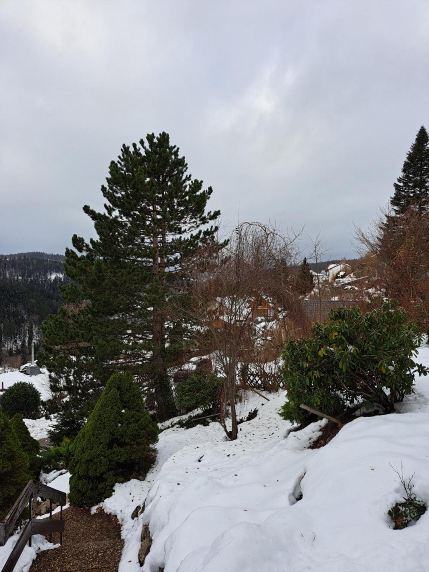Grosse Ferienwohnung In Ruhiger Lage Mit Toller Aussicht In Triberg Triberg im Schwarzwald Exterior foto