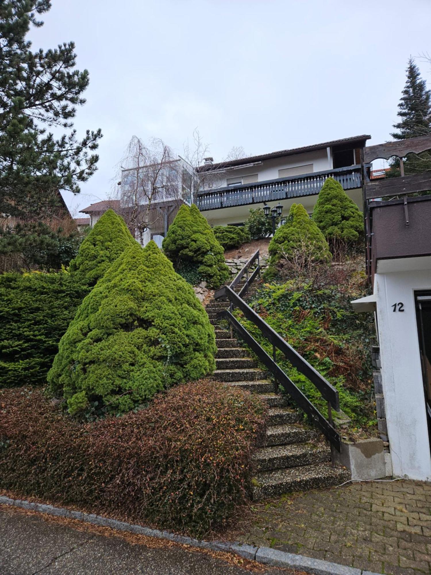 Grosse Ferienwohnung In Ruhiger Lage Mit Toller Aussicht In Triberg Triberg im Schwarzwald Exterior foto
